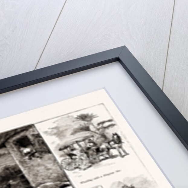 Life In Jamaica, 1886 by Anonymous