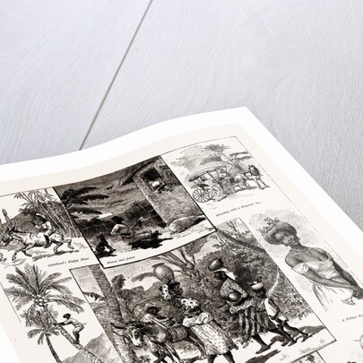 Life In Jamaica, 1886 by Anonymous