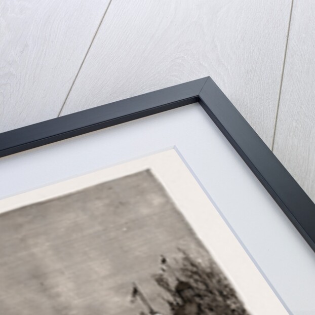 The Opening Of The International Exhibition At Edinburgh By Prince Albert Victor, UK, 1886 by Anonymous