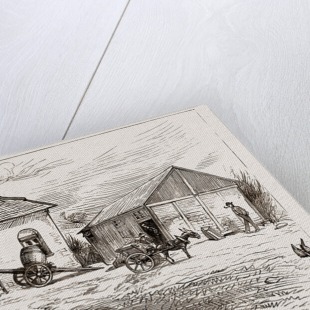 Police Hut To Protect Mike Flynn's Cottage, 1886 by Anonymous