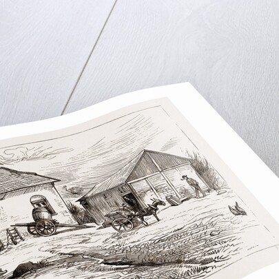 Police Hut To Protect Mike Flynn's Cottage, 1886 by Anonymous