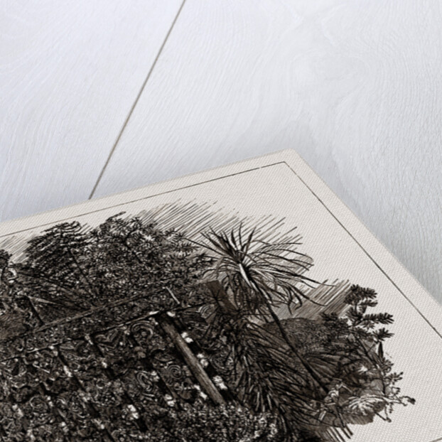 Australian And New Zealand Exhibits At The Colonial And Indian Exhibition, 1886 by Anonymous