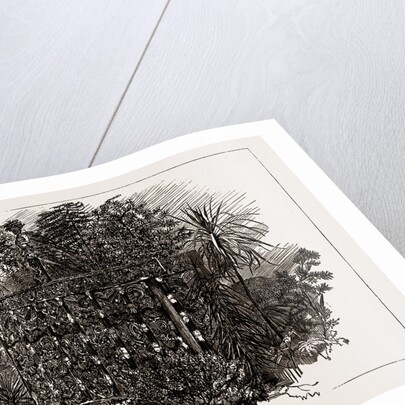 Australian And New Zealand Exhibits At The Colonial And Indian Exhibition, 1886 by Anonymous