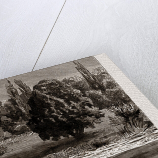 The Death Of King Ludwig II by Anonymous