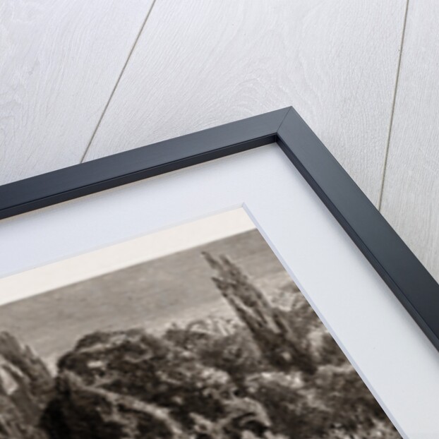 The Death Of King Ludwig II by Anonymous