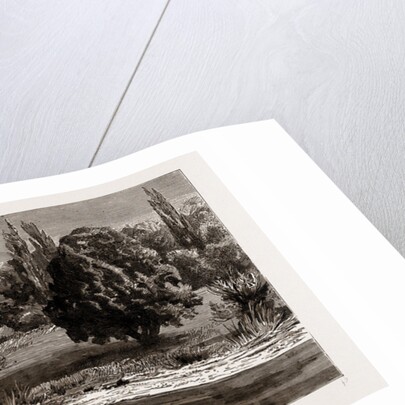 The Death Of King Ludwig II by Anonymous