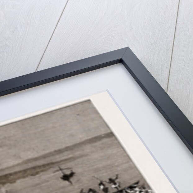 A Boat Race For A Wife by Anonymous