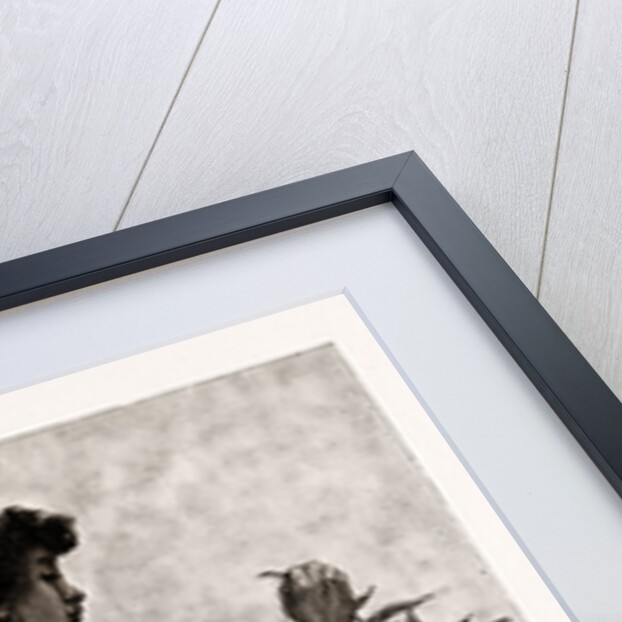 The Ceylon Tea Industry, Sri Lanka: Tamul Girl Plucking A Tea Bush, 1886 by Anonymous