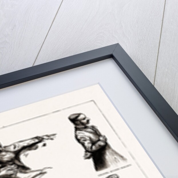 The Home Rule Debate In The House Of Commons, London, UK, 1886 by Anonymous