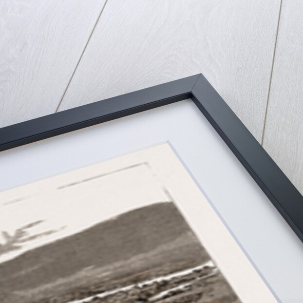 The Revolution In Nepal, India, 1886 by Anonymous