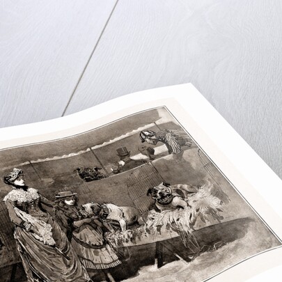 Among The Bull Dogs At The Kennel Club Show, UK, 1886 by Anonymous
