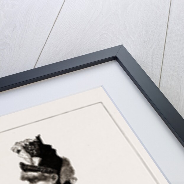 The Lady With A Special System, Monte Carlo, 1886 by Anonymous