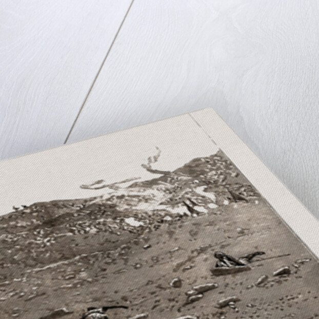 With The Nile Frontier Field Force, Attack On The Rebels At Koshey And Giniss, 1886 by Anonymous