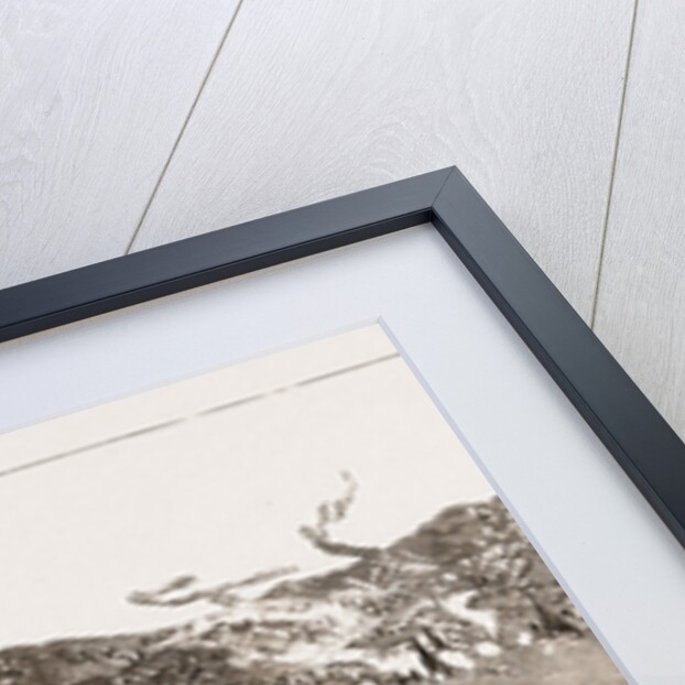 With The Nile Frontier Field Force, Attack On The Rebels At Koshey And Giniss, 1886 by Anonymous