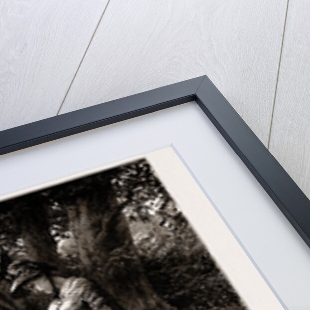 The Mayor Of Casterbridge: 'Hay-trussing?' said the turnip-hoer, who had already begun shaking his head. 'O no' by Robert Barnes