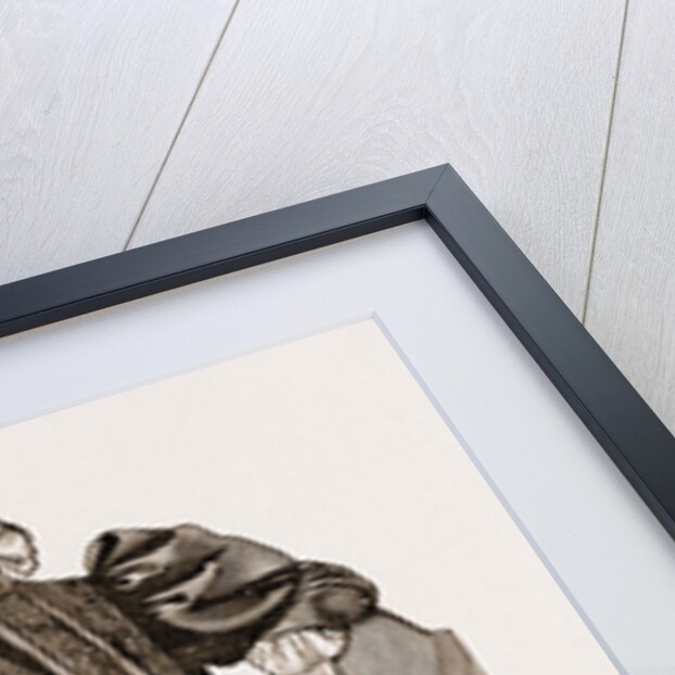 An Indoor Dress, 1897 by Anonymous