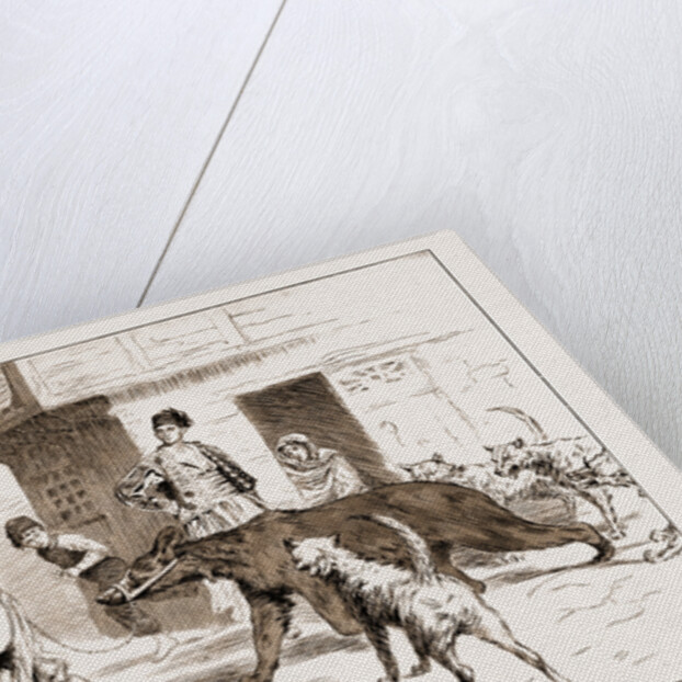 Street Dogs Barking At A Dancing Bear And His Keeper In Constantinople, Istanbul, Turkey, 1897 by Anonymous