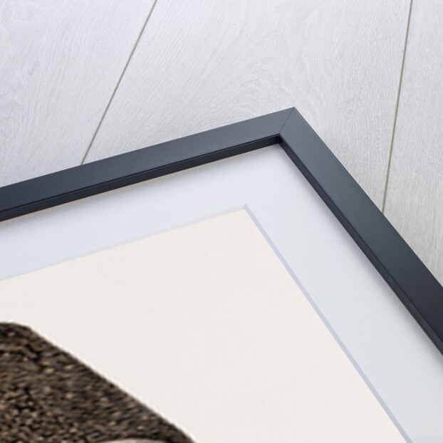 Mirza Mohsin Khan by Anonymous