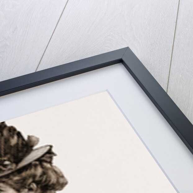 A New Style Of Bodice by Anonymous