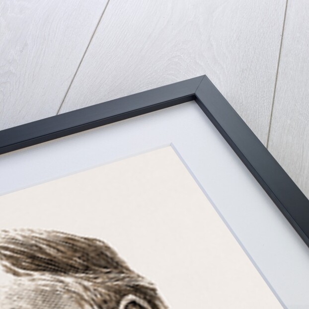 Mk. D. M. Dickenson Mr. Justice Putnam Mr. Chandler:p. Anderson Mr. Justice King Mr. Frederick Peters, Q.C. by Anonymous