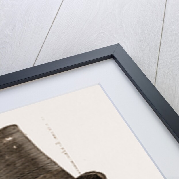 Major P. W. G. Copland Crawford Vice-consul Of The Protectorate by Anonymous