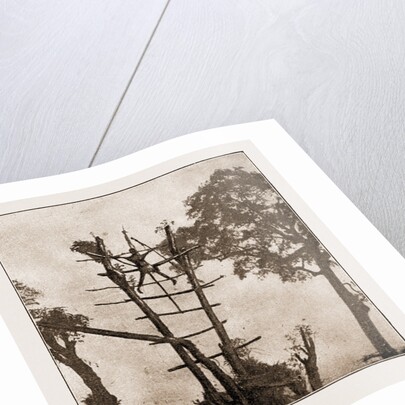 A Woman Crucified At Benin by Anonymous