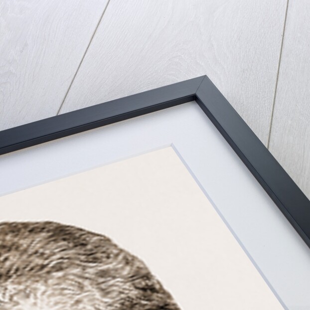 Princess Maria Theresa Of Bavaria by Elviraz