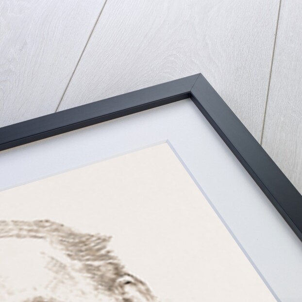 The Right Rev. Ii. C. Potter, D.d. by Anonymous