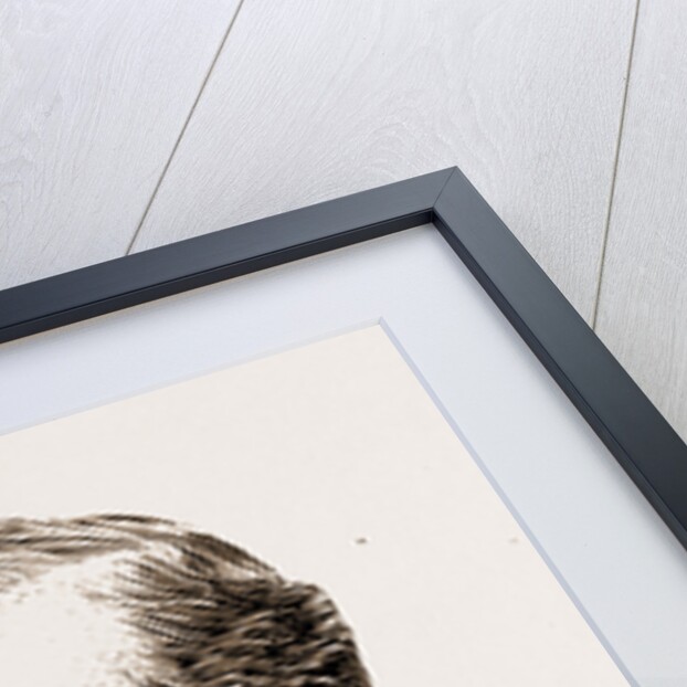 Signor Antonio Fratti The Italian Deputy Killed At Domoko by H. Le Lieure