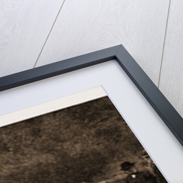 The British Red Cross Society At Constantinople, Istanbul, Turkey, 1897 by Anonymous