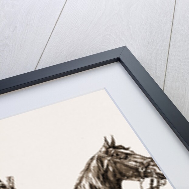 Colonial Troops Who Took Place In The Jubilee Procession, UK, 1897 by Anonymous