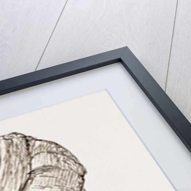 West India Regiment by Anonymous