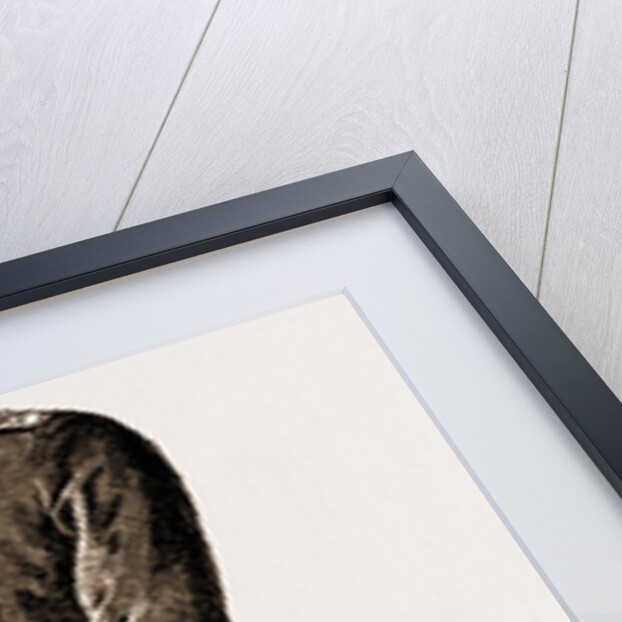 Malay Armed Police by Anonymous