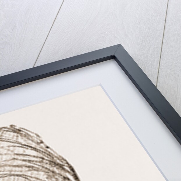 Eight Representative Malay States Guides by Anonymous