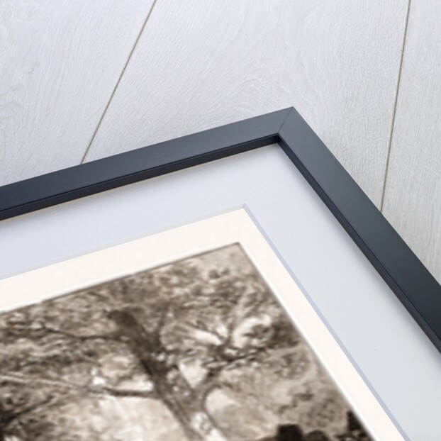 The Prince Of Wales's Garden Party At Chiswick, The Shah Planting A Tree In Commemoration Of His Visit by Anonymous