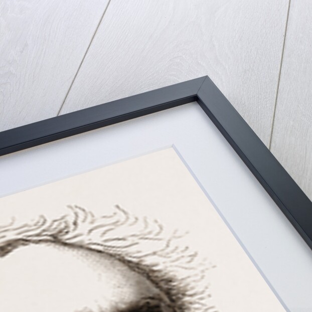 Sir David Salomons, M.P. UK 1873 by Anonymous