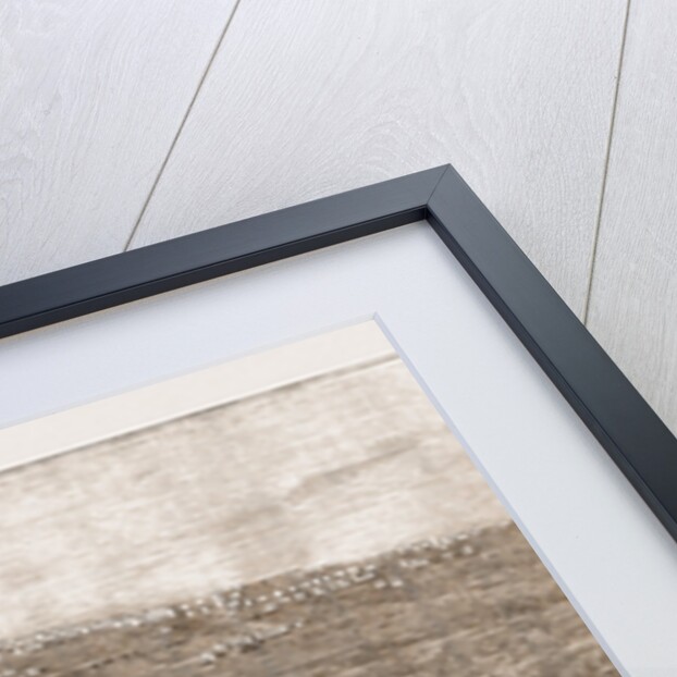 General View Of Encampment Of Second Division, Autumn Manoeuvers UK 1873 by Anonymous