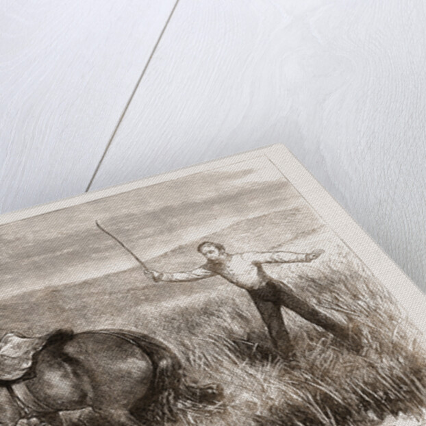 A Trooper's Horse In Foxton Mire, Autumn Manoeuvers 1873 by Anonymous