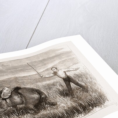 A Trooper's Horse In Foxton Mire, Autumn Manoeuvers 1873 by Anonymous