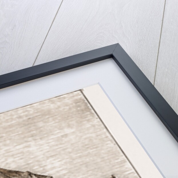 Drontheim Cathedral by Anonymous