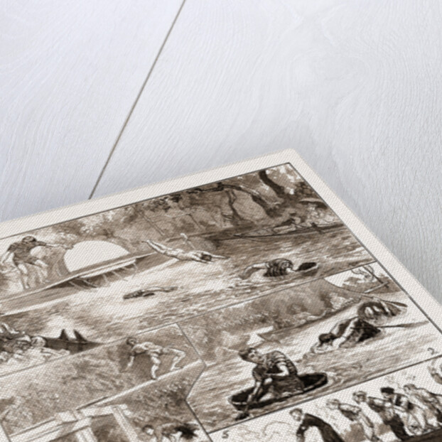 The London Swimming Club Contest At The Crystal Palace by Anonymous