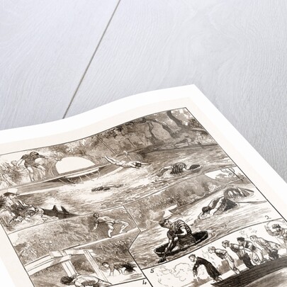 The London Swimming Club Contest At The Crystal Palace by Anonymous