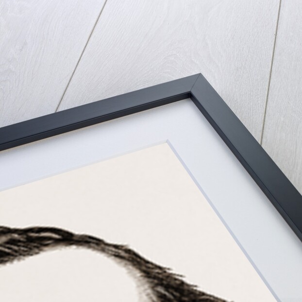 Urbano Rattazzi by Anonymous