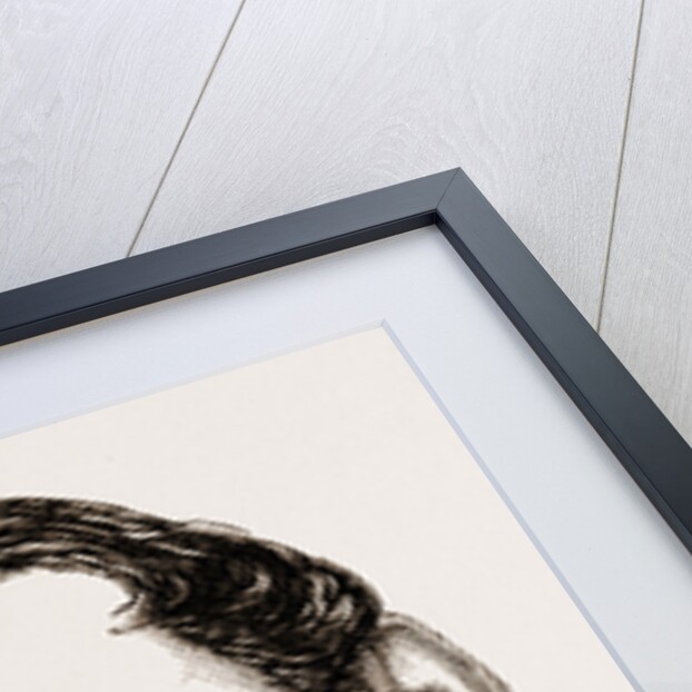 Prince-professor Joseph Poniatowski (musical Composer), A Polish Szlachcic by Anonymous