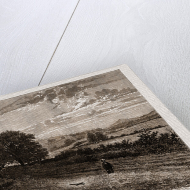 Near Evershed's Rough—scene Of The Fatal Accident To The Lord Bishop Of Winchester, 1873 by Anonymous