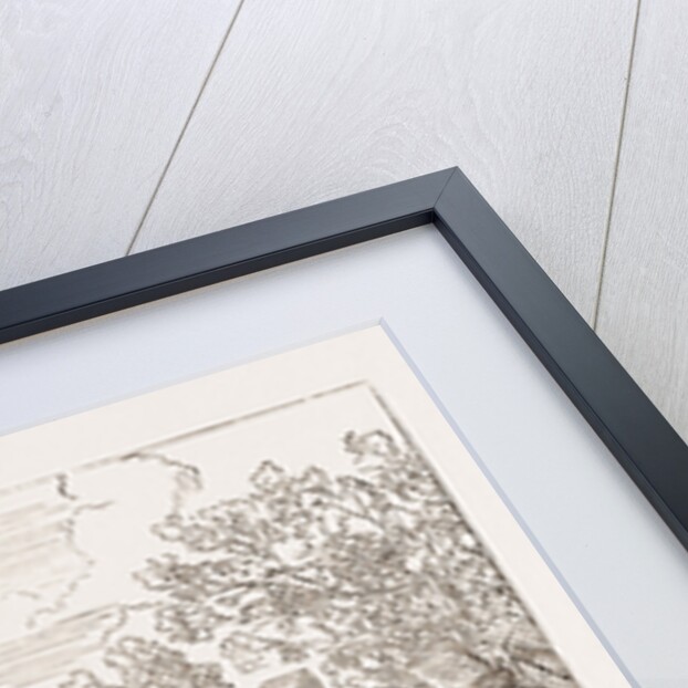 A Harpist, Vienna Engraving 1873 by Anonymous