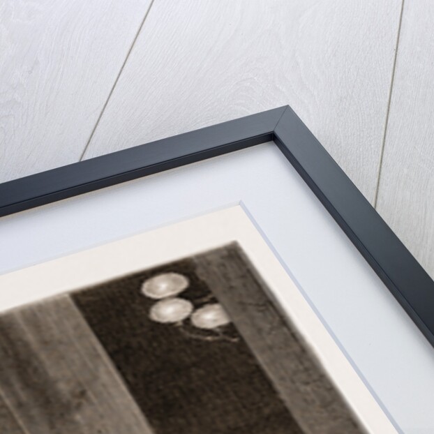 A National Guard Sentry Before The Hotel De Ville, Seville by Anonymous