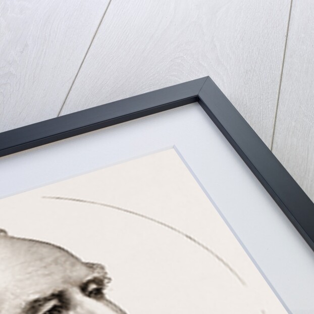 David Robertson (lord Marjoribanks) M.P. For Berwickshire UK by Anonymous