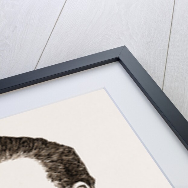 Grand Duke Vladimir-alexandrovitch (second Surviving Son Of The Czar) by Anonymous