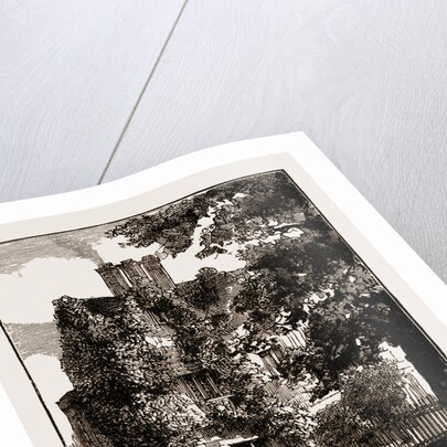 York UK 1873, Philosophical Gardens. by Anonymous